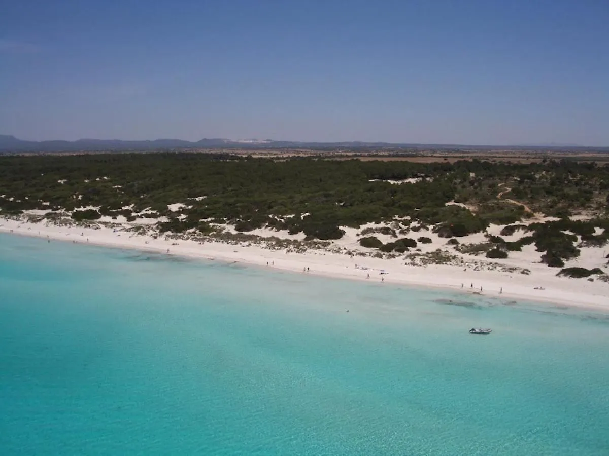 Beachfront Apartment Migjorn Playa By Sealand Villas Colonia de Sant Jordi